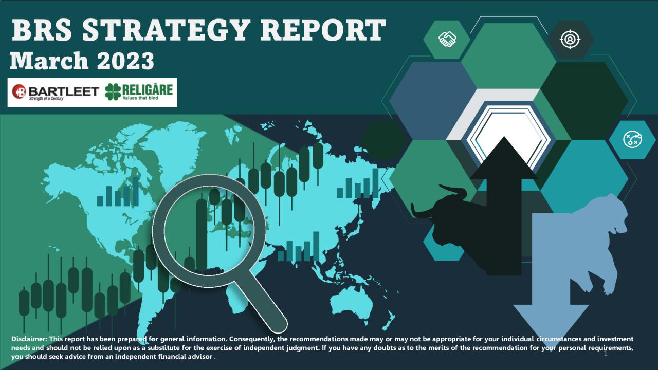 BRS Strategy Report - March 2023